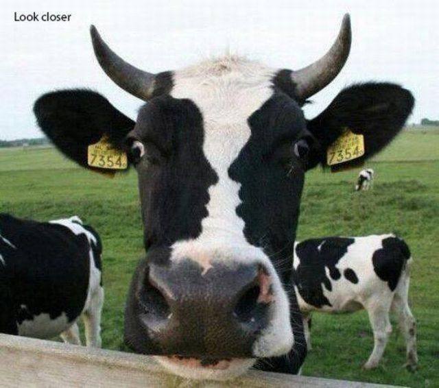 Bildschirmarbeiter - Picdump 26.08.2016