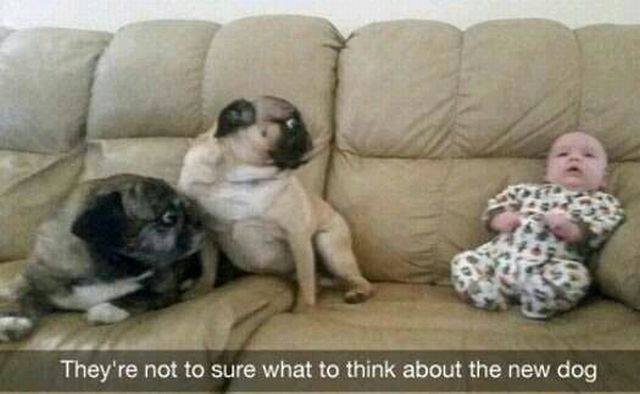 Bildschirmarbeiter - Picdump 26.08.2016