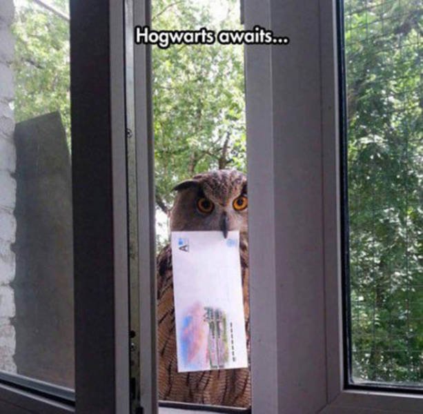 Bildschirmarbeiter - Picdump 26.08.2016