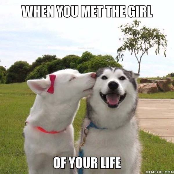 Bildschirmarbeiter - Picdump 26.08.2016