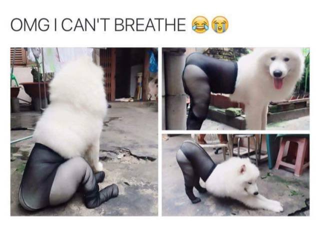 Bildschirmarbeiter - Picdump 26.08.2016