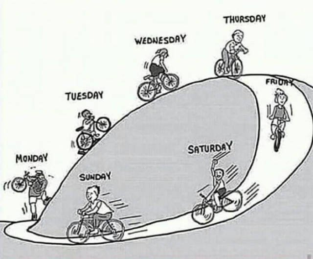 Bildschirmarbeiter - Picdump 26.08.2016