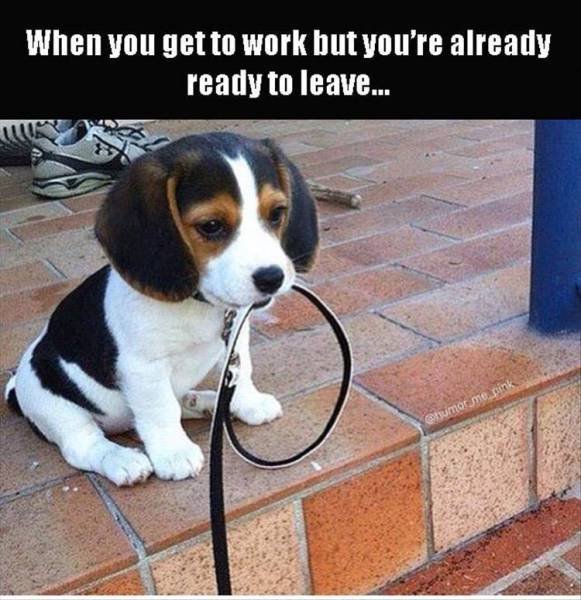 Bildschirmarbeiter - Picdump 26.08.2016