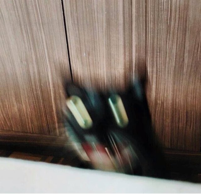 Bildschirmarbeiter - Picdump 26.08.2016