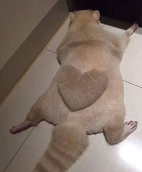 Bildschirmarbeiter - Picdump 26.08.2016