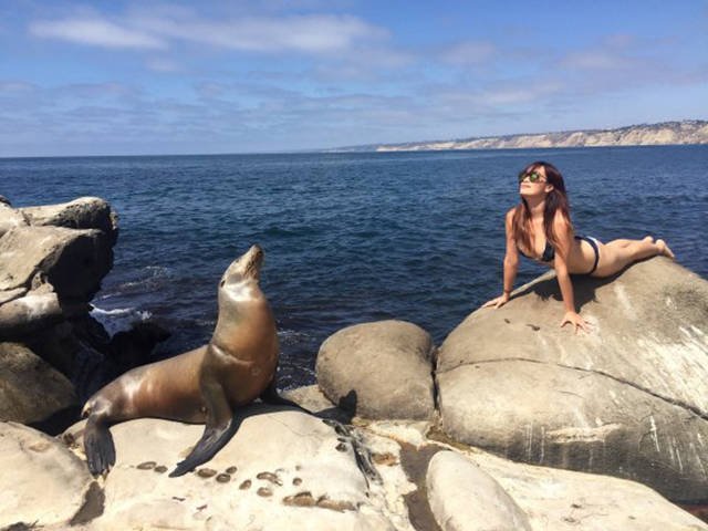 Bildschirmarbeiter - Picdump 26.08.2016