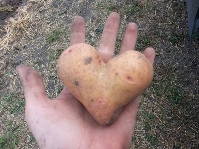 Bildschirmarbeiter - Picdump 26.08.2016