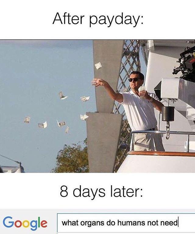 Bildschirmarbeiter - Picdump 26.08.2016