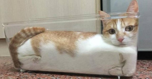 Bildschirmarbeiter - Picdump 26.08.2016