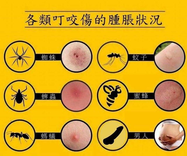 Bildschirmarbeiter - Picdump 09.09.2016