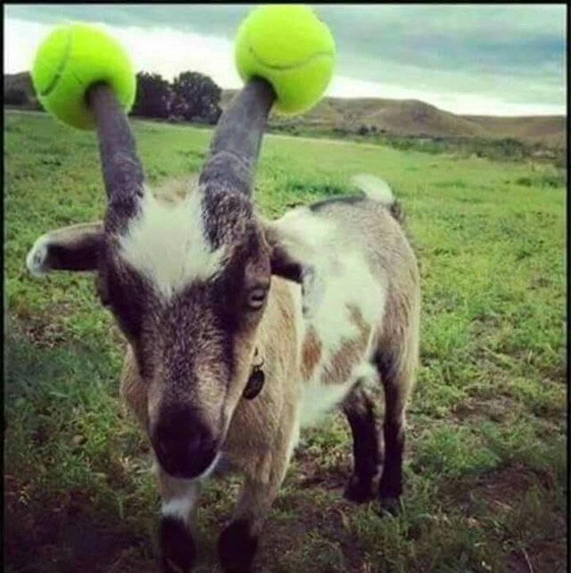 Bildschirmarbeiter - Picdump 09.09.2016