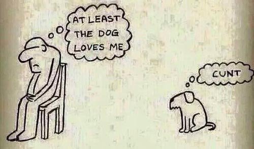 Bildschirmarbeiter - Picdump 09.09.2016