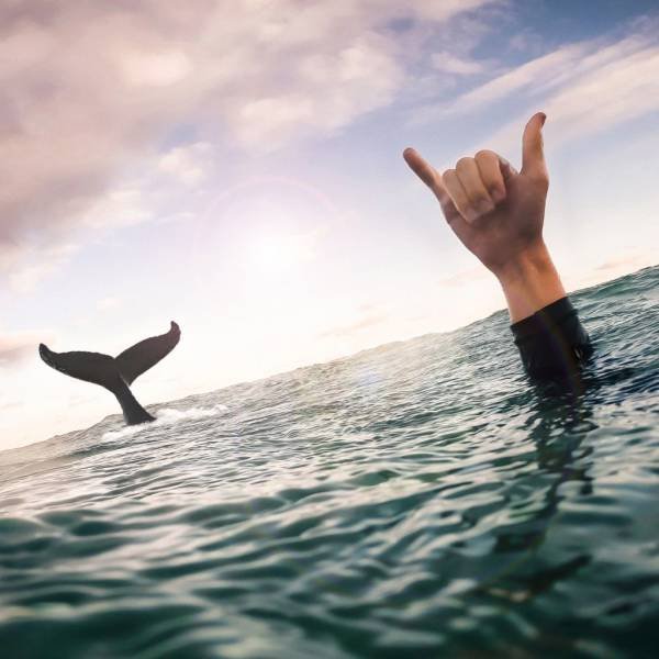 Bildschirmarbeiter - Picdump 09.09.2016