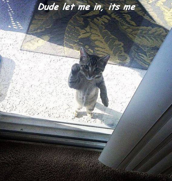 Bildschirmarbeiter - Picdump 09.09.2016