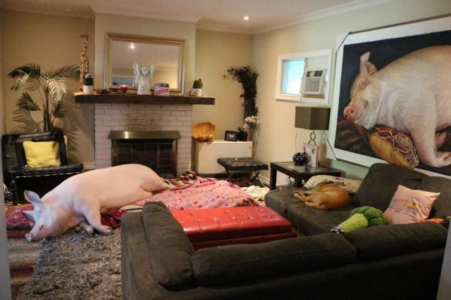 Bildschirmarbeiter - Picdump 09.09.2016