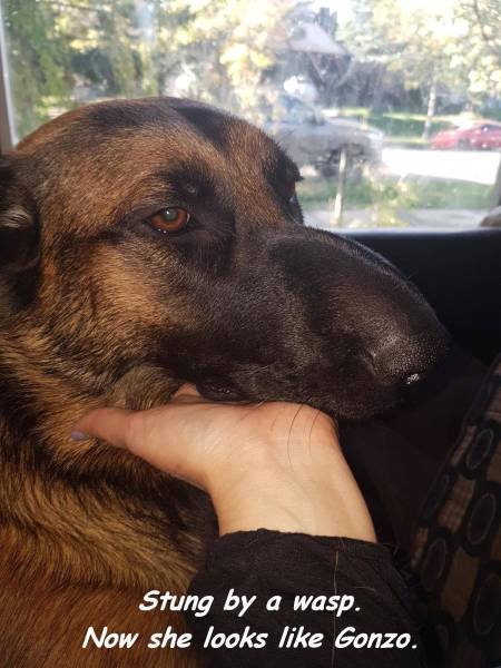 Bildschirmarbeiter - Picdump 09.09.2016