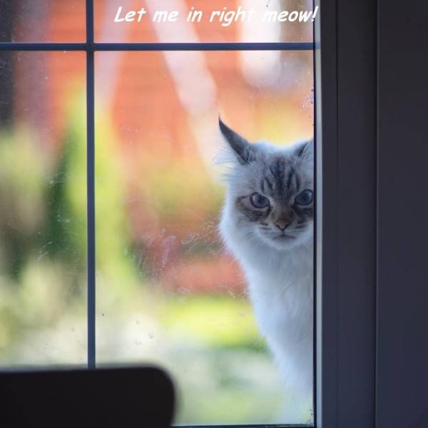 Bildschirmarbeiter - Picdump 09.09.2016