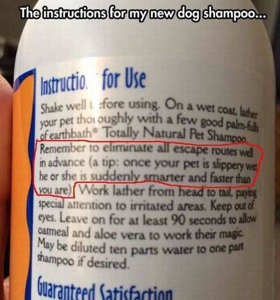 Bildschirmarbeiter - Picdump 09.09.2016