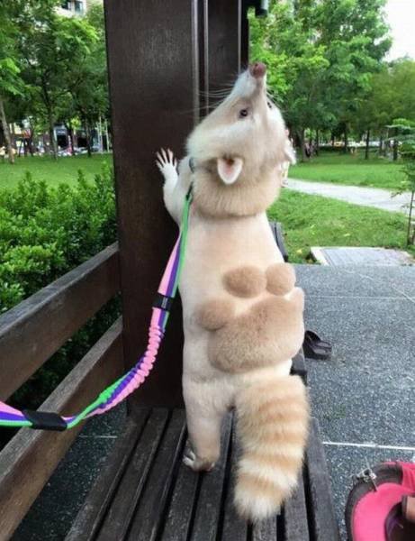 Bildschirmarbeiter - Picdump 09.09.2016