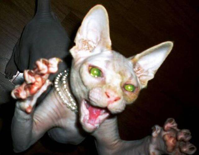 Bildschirmarbeiter - Picdump 09.09.2016