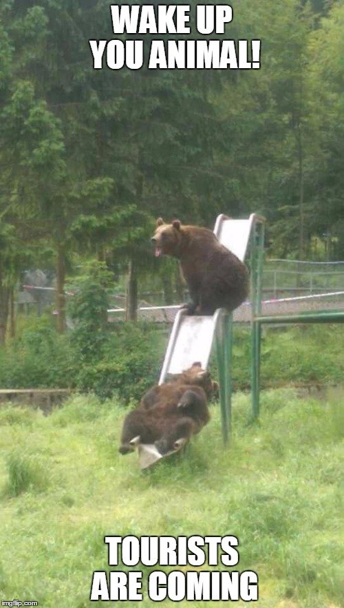 Bildschirmarbeiter - Picdump 09.09.2016