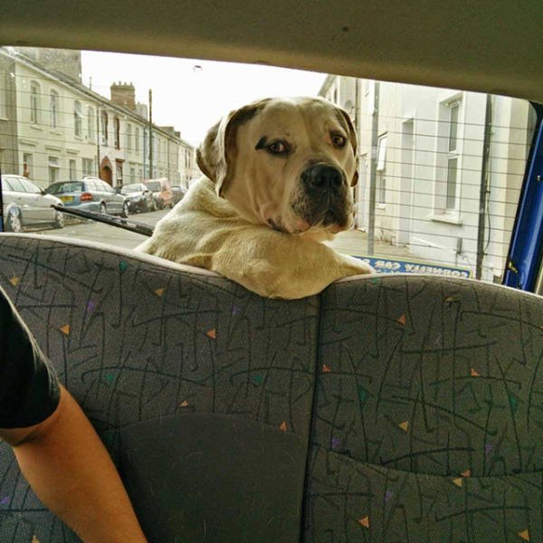 Bildschirmarbeiter - Picdump 09.09.2016