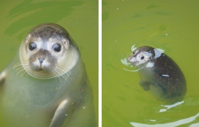 Bildschirmarbeiter - Picdump 09.09.2016