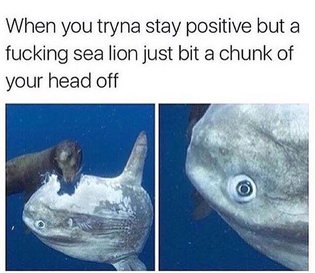 Bildschirmarbeiter - Picdump 09.09.2016