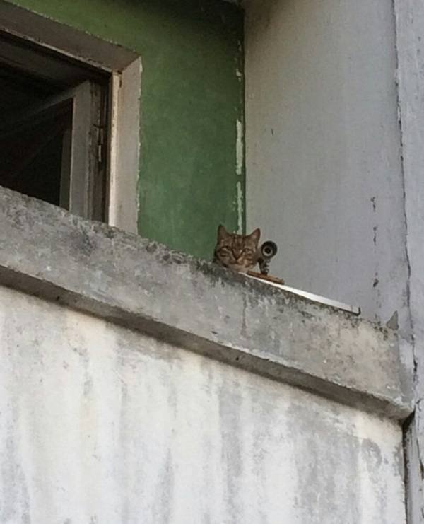 Bildschirmarbeiter - Picdump 09.09.2016