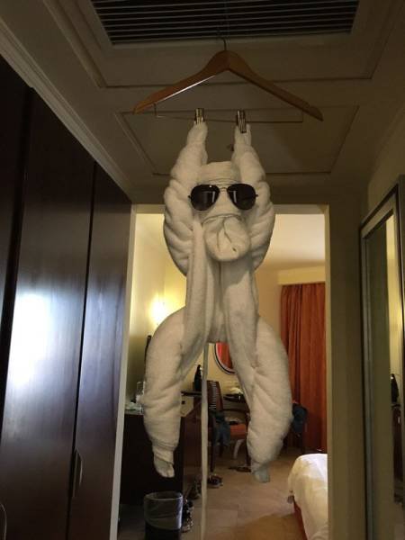 Bildschirmarbeiter - Picdump 09.09.2016