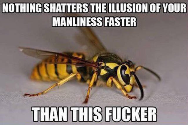 Bildschirmarbeiter - Picdump 09.09.2016