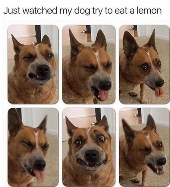 Bildschirmarbeiter - Picdump 16.09.2016