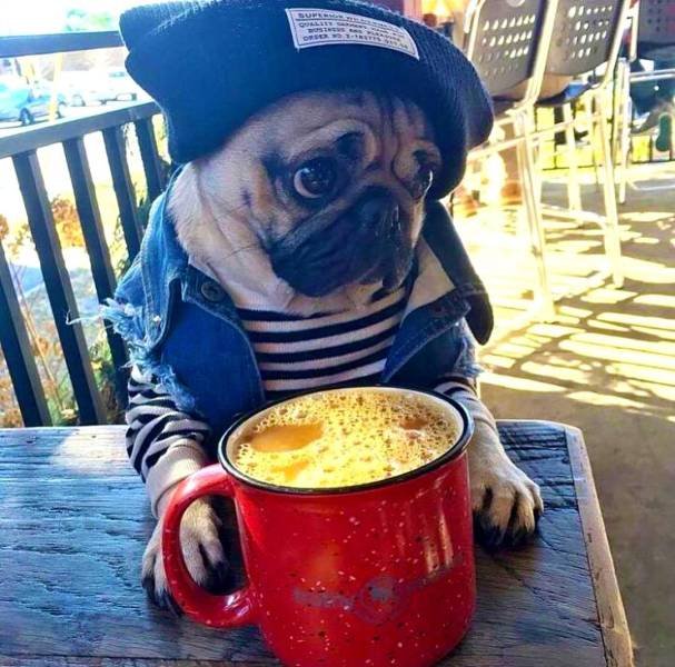 Bildschirmarbeiter - Picdump 16.09.2016