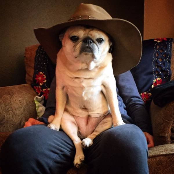 Bildschirmarbeiter - Picdump 16.09.2016