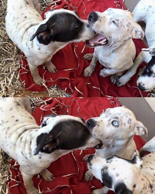 Bildschirmarbeiter - Picdump 16.09.2016