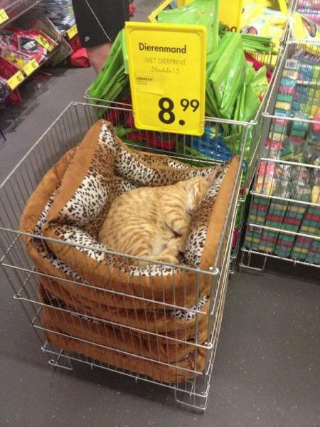 Bildschirmarbeiter - Picdump 16.09.2016