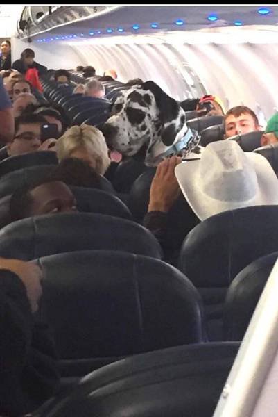 Bildschirmarbeiter - Picdump 16.09.2016