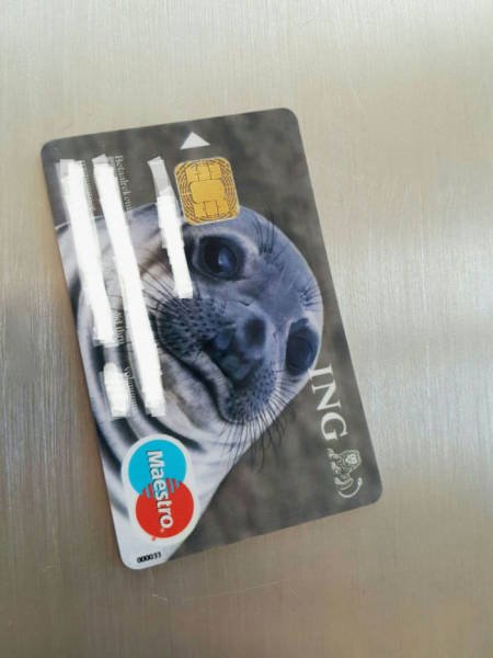 Bildschirmarbeiter - Picdump 16.09.2016