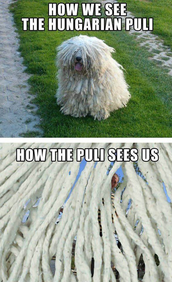 Bildschirmarbeiter - Picdump 16.09.2016