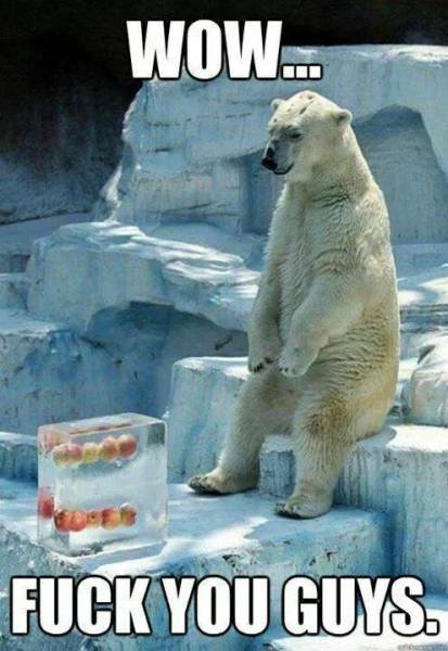 Bildschirmarbeiter - Picdump 16.09.2016