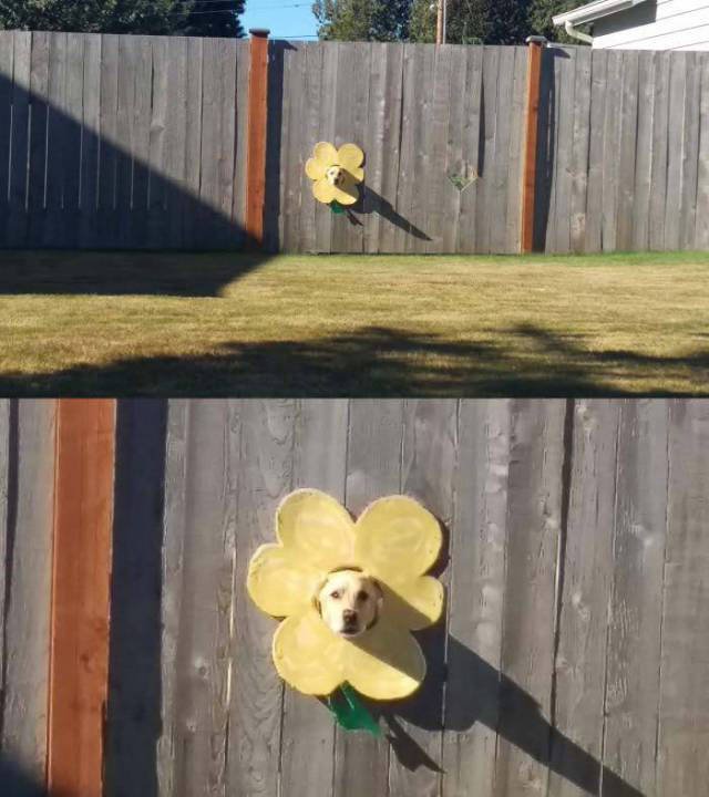 Bildschirmarbeiter - Picdump 16.09.2016