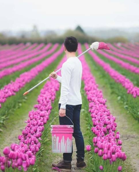 Bildschirmarbeiter - Picdump 16.09.2016