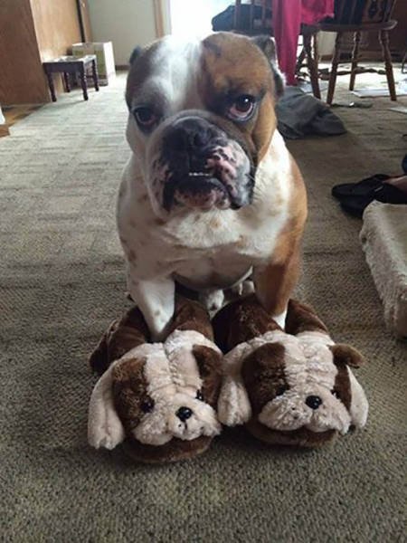 Bildschirmarbeiter - Picdump 16.09.2016