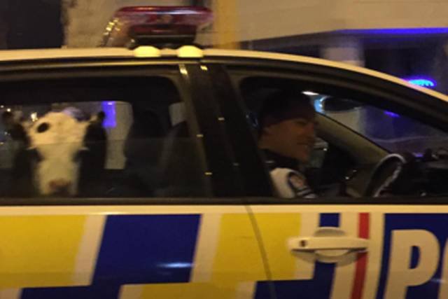 Bildschirmarbeiter - Picdump 16.09.2016