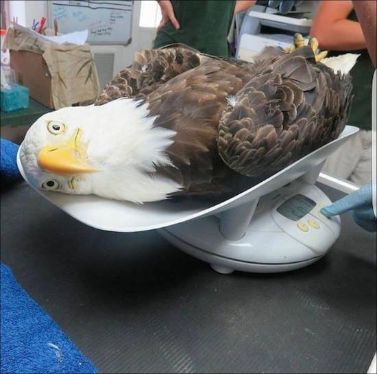 Bildschirmarbeiter - Picdump 16.09.2016