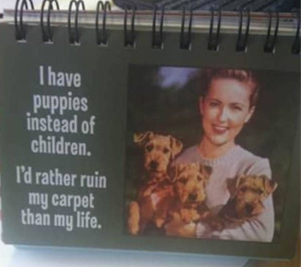 Bildschirmarbeiter - Picdump 23.09.2016 - NACHSCHLAG