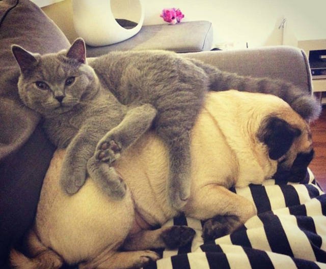 Bildschirmarbeiter - Picdump 23.09.2016 - NACHSCHLAG