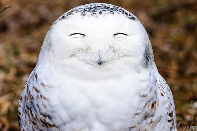 Bildschirmarbeiter - Picdump 23.09.2016 - NACHSCHLAG