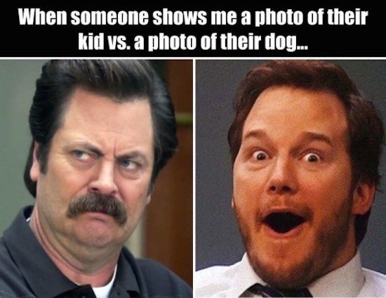 Bildschirmarbeiter - Picdump 23.09.2016 - NACHSCHLAG