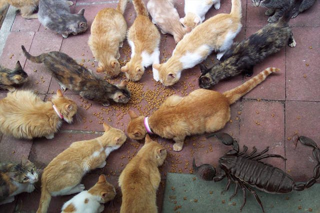 Bildschirmarbeiter - Picdump 23.09.2016 - NACHSCHLAG